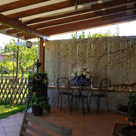 Al Pic De Corone Bed & Breakfast Terzo d' Aquileia Luaran gambar
