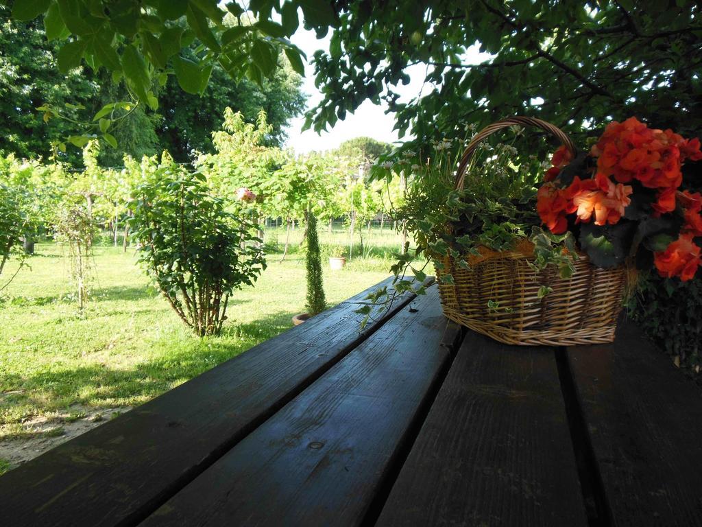 Al Pic De Corone Bed & Breakfast Terzo d' Aquileia Luaran gambar