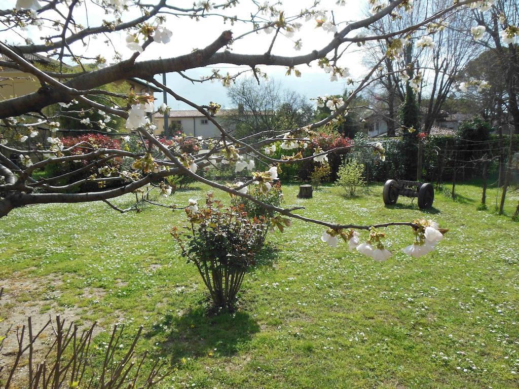Al Pic De Corone Bed & Breakfast Terzo d' Aquileia Luaran gambar