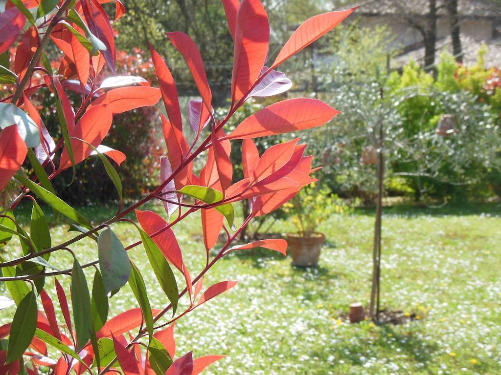 Al Pic De Corone Bed & Breakfast Terzo d' Aquileia Luaran gambar