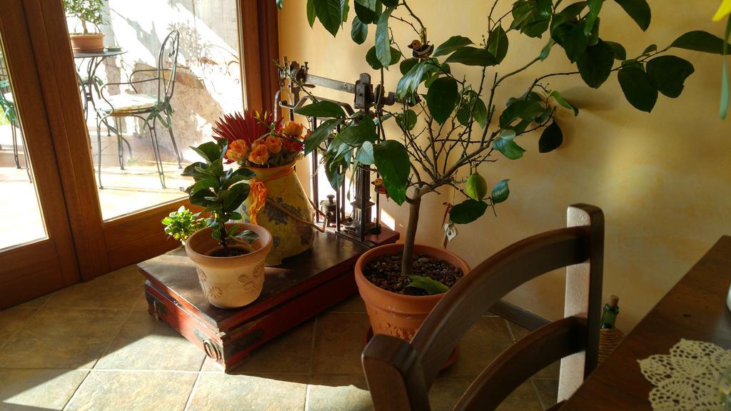 Al Pic De Corone Bed & Breakfast Terzo d' Aquileia Luaran gambar