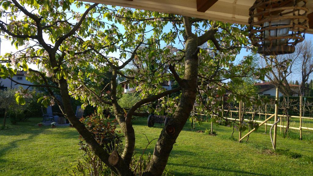 Al Pic De Corone Bed & Breakfast Terzo d' Aquileia Luaran gambar