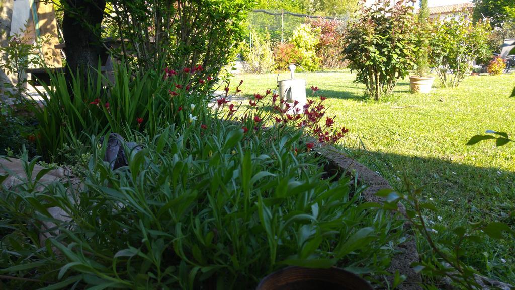 Al Pic De Corone Bed & Breakfast Terzo d' Aquileia Luaran gambar