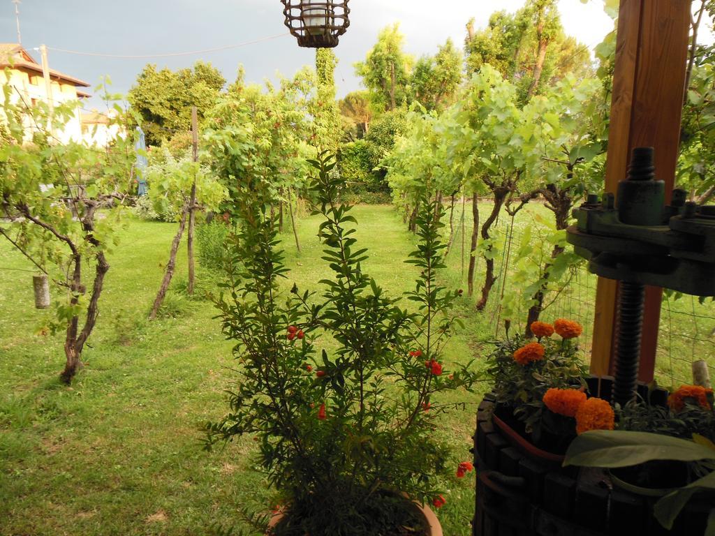 Al Pic De Corone Bed & Breakfast Terzo d' Aquileia Luaran gambar