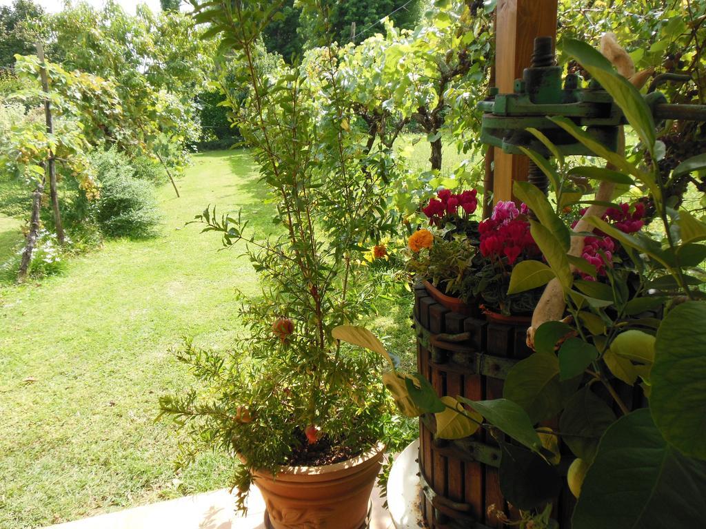 Al Pic De Corone Bed & Breakfast Terzo d' Aquileia Luaran gambar