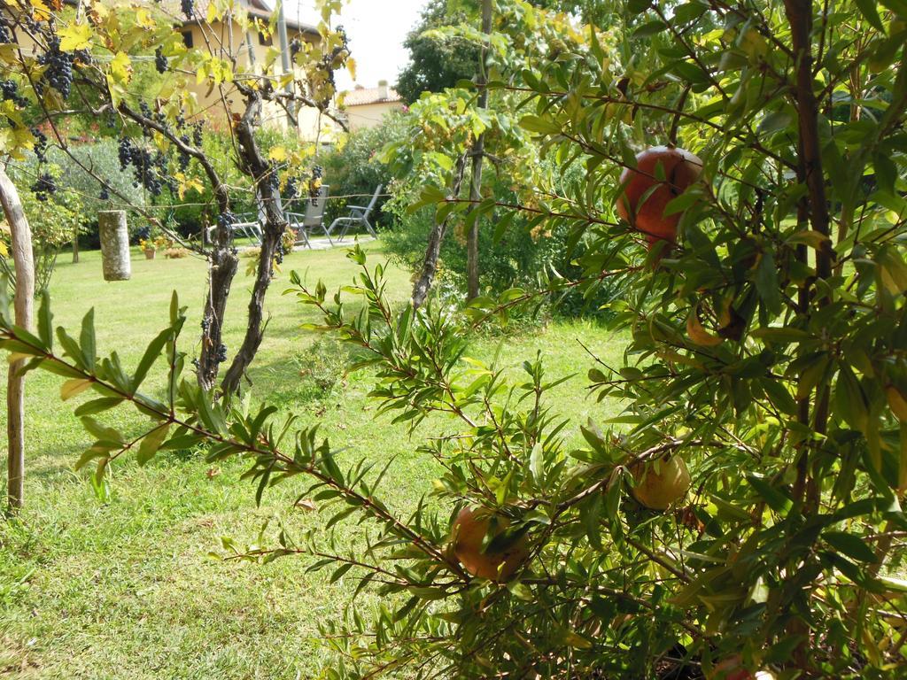 Al Pic De Corone Bed & Breakfast Terzo d' Aquileia Luaran gambar
